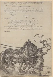 Experientia, foglio 8 della serie "Il grande carro trionfale"