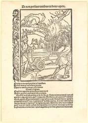 Disdegnare un buon consiglio