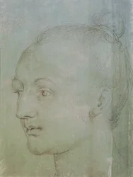 Testa di una giovane donna