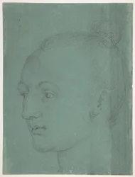 Testa di giovane donna