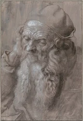 Testa di un vecchio, 1521