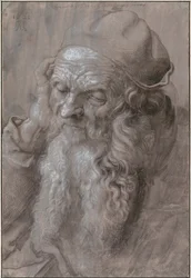 Testa di un vecchio, 1521