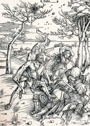 Ercole