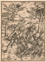 Ercole