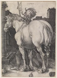 Il grande cavallo