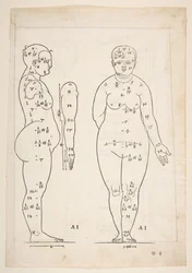Illustrazione da Dürers Vier Bucher von Menslicher Proportion, Norimberga
