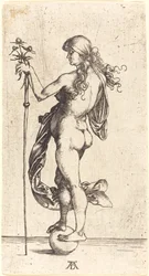 Piccola fortuna