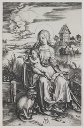 Madonna con la scimmia
