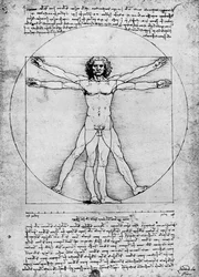 Proporzioni della figura umana, ca. 1492, 1936