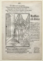 Nave dei folli, dopo il 1497