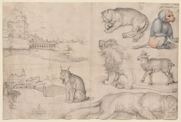 Schizzi di animali e paesaggi
