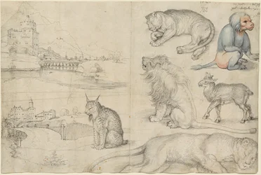Schizzi di Animali e Paesaggi, 1521