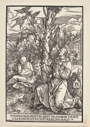 San Francesco riceve le stimmate