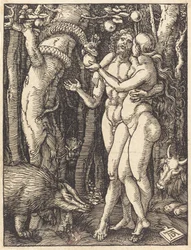 La caduta dell