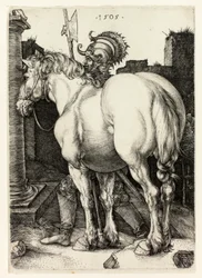 Il grande cavallo