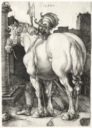 Il Cavallo Grande