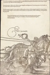 Il carro trionfale di Massimiliano I (Il grande carro trionfale) [tavola 3 di 8]
