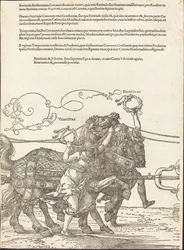 Il carro trionfale di Massimiliano I (Il grande carro trionfale) [tavola 5 di 8]