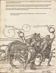 Il carro trionfale di Massimiliano I (Il grande carro trionfale) [tavola 6 di 8]