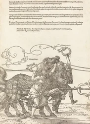 Il carro trionfale di Massimiliano I Il grande carro trionfale [tavola 5 di 8], 1523 edizione latina