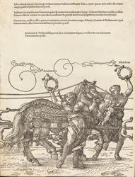 Il carro trionfale di Massimiliano I, Il grande carro trionfale [tavola 6 di 8], 1523 ed. latina