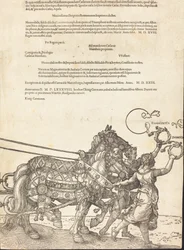 Il carro trionfale di Massimiliano I Il grande carro trionfale [tavola 8 di 8], edizione latina 1523