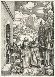 La Visitazione