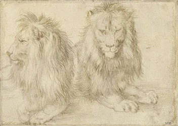 Due leoni seduti, 1521