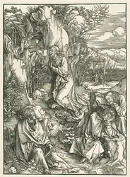 Agonia nell