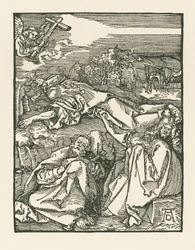 Agonia nell