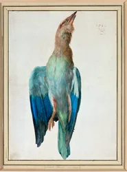 Rullo blu