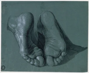 Studio di due piedi - Disegno di Albrecht Durer (1471-1528), acquerello, colore bianco, gesso nero su carta, c1508 (17,6x21,6cm) - Museum Boijmans Van Beuningen, Rotterdam