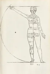Incisione anatomica femminile da 