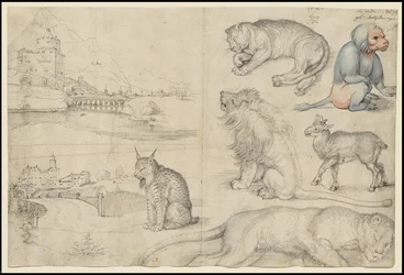 Schizzi di animali e paesaggi, 1521