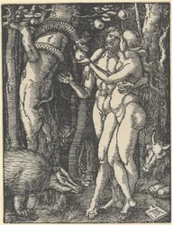La caduta dell