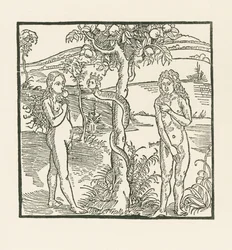 La caduta. Illustrazione di "Der Ritter von Turn", 1493-93 circa (xilografia)