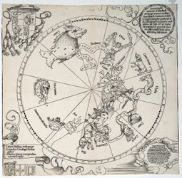 Immagine sconosciuta