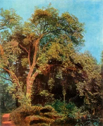Albero nel parco, metà XIX secolo, 1965