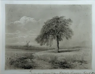 Paesaggio con mulino a vento