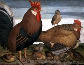 Gallo, gallina e pulcini