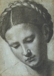 Testa di donna con capelli intrecciati