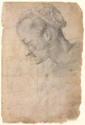 Profilo della testa di una donna (recto)