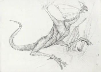 Creatura fantastica: un drago