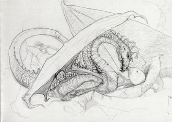 Creatura fantastica: un drago che protegge il suo uovo. Schizzo a matita di Alessandro Lonati