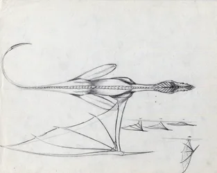 Animale leggendario per illustrazione fantasy: studio per un drago