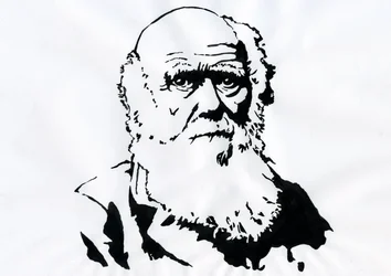 Ritratto di Charles Darwin