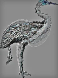 Uccello I