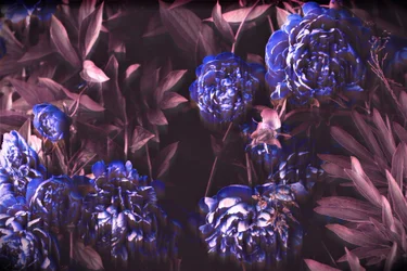 Note blu