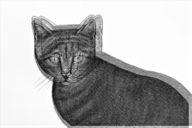 Gatto elettrico