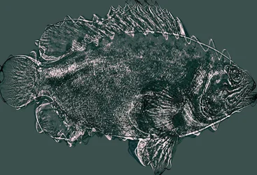 Pesce in verde